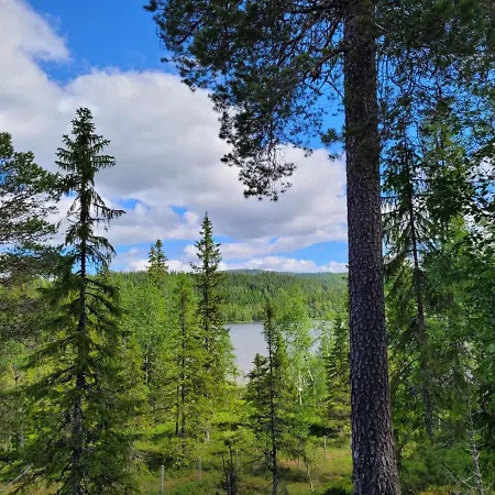 Ved Innsjo * Landsem