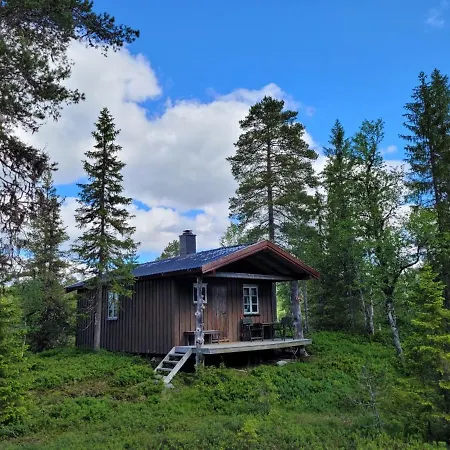 Ved Innsjo Holiday home *